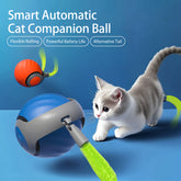 2025 Smart Interactive Cat Ball – Rechargeable Type-C Auto Rolling Teaser Toy