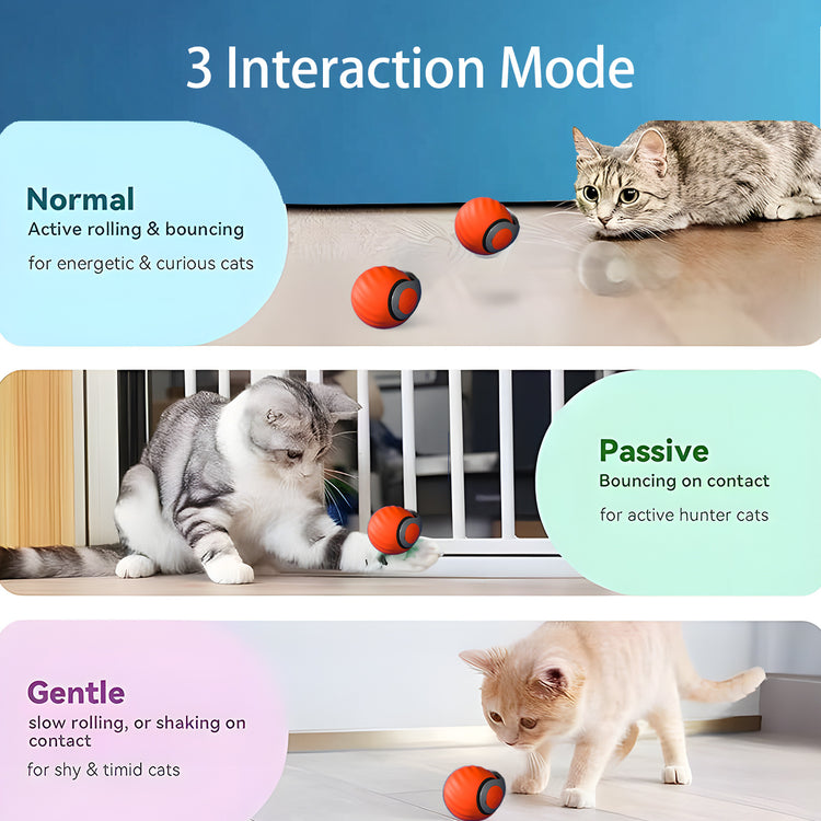2025 Smart Interactive Cat Ball – Rechargeable Type-C Auto Rolling Teaser Toy