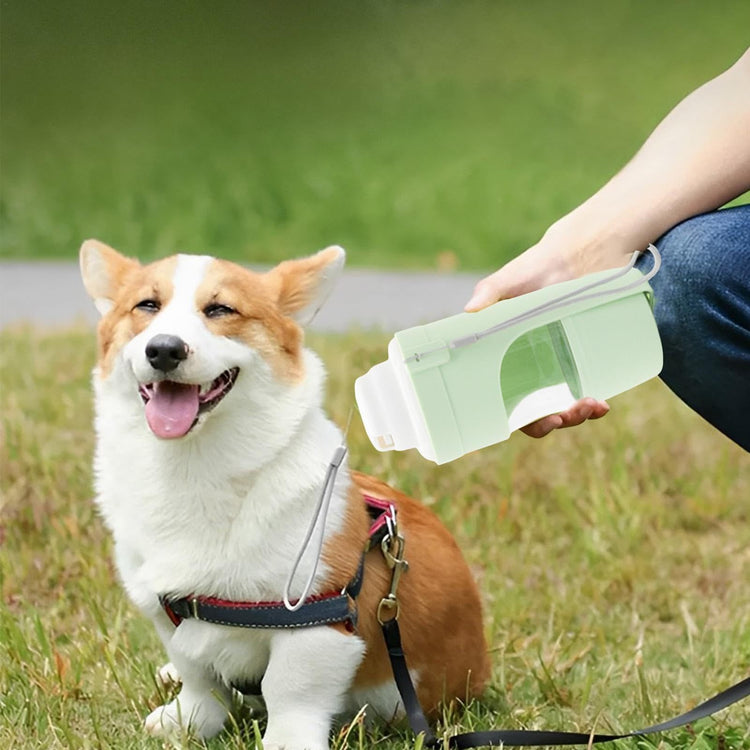 2-in-1 Portable Pet Water Bottle & Feeder – Leakproof Travel Dog Water Dispenser for Outdoor Use